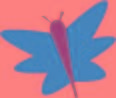 vlinder